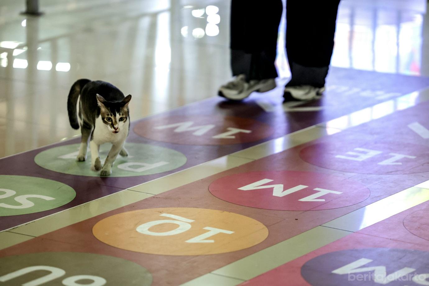 Transjakarta Sediakan Wayfinding di Terminal Blok M 5