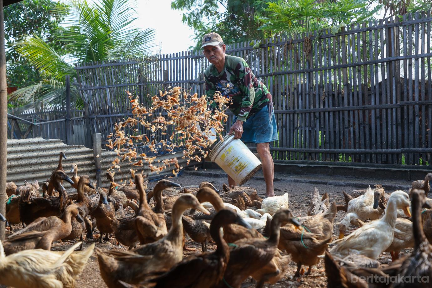 3 produksi telur asin