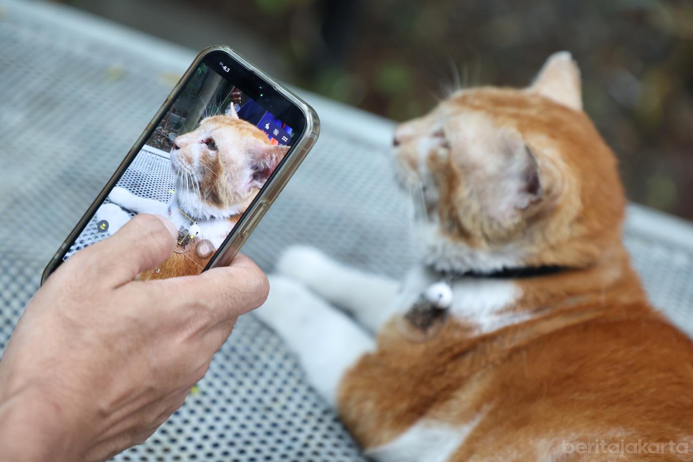 7.World Rabies Day 2026