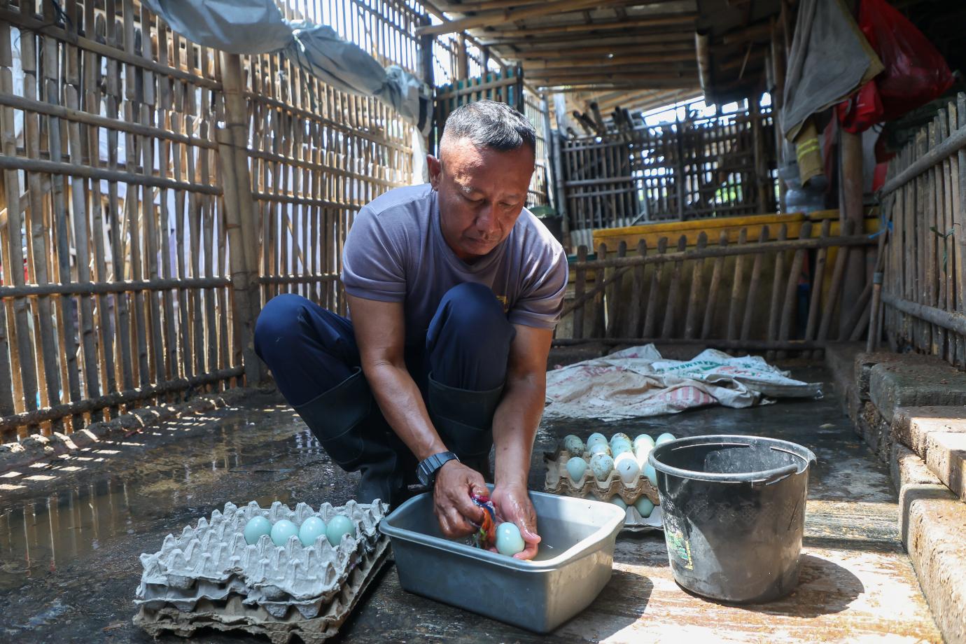 5 produksi telur asin