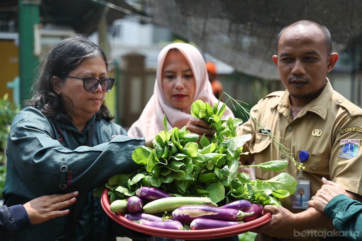 PKK Setiabudi Panen Sayur 6