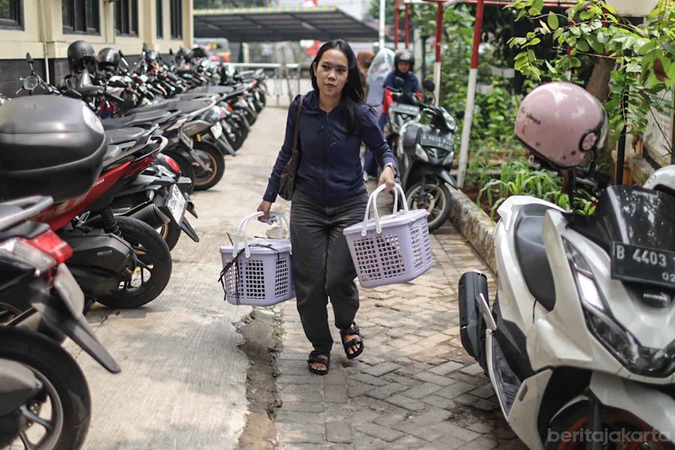Sudin KPKP Jakbar Sterilisasi 221 Kucing Jantan di Kembangan 4