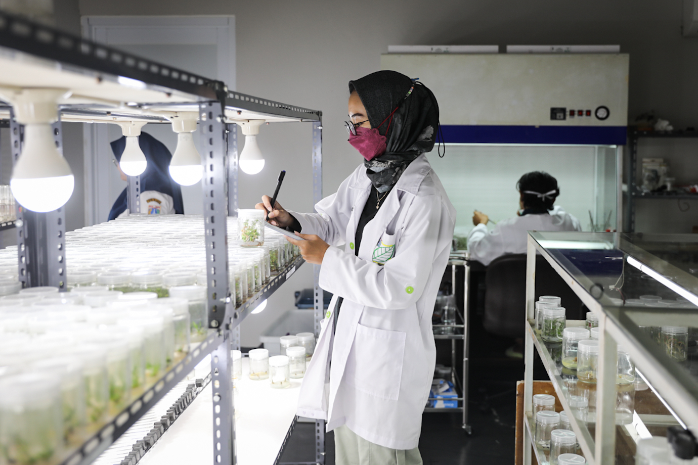 lab kultur jaringan-3.jpg
