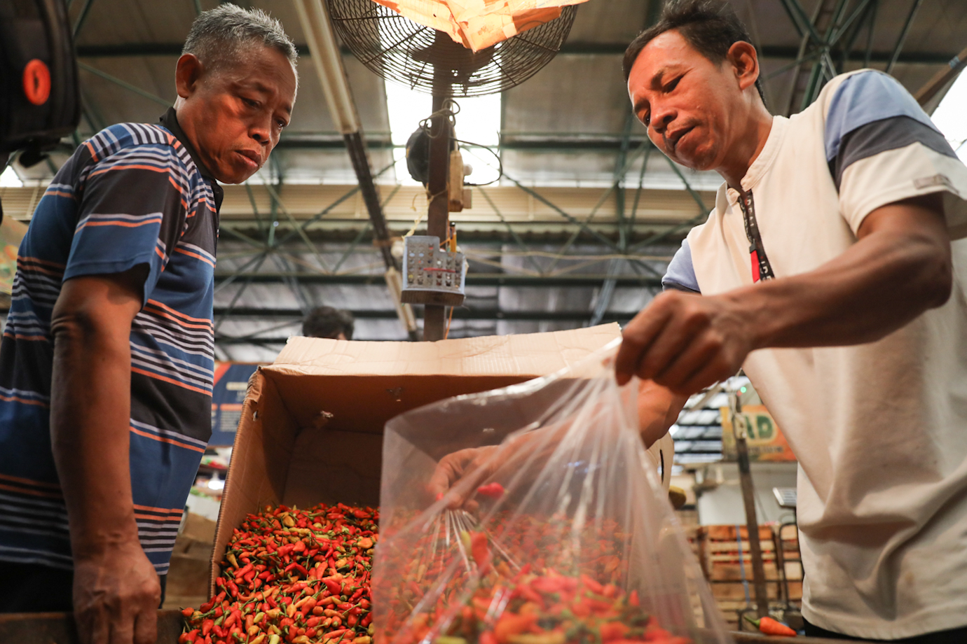 Cabai Bawang-7.jpg