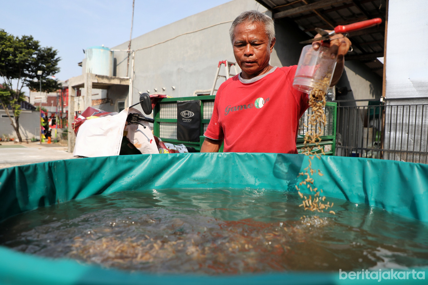 7.Warga RW 12 Cipinang Melayu Manfaatkan Lahan Tidur untuk Urban Farming.jpg