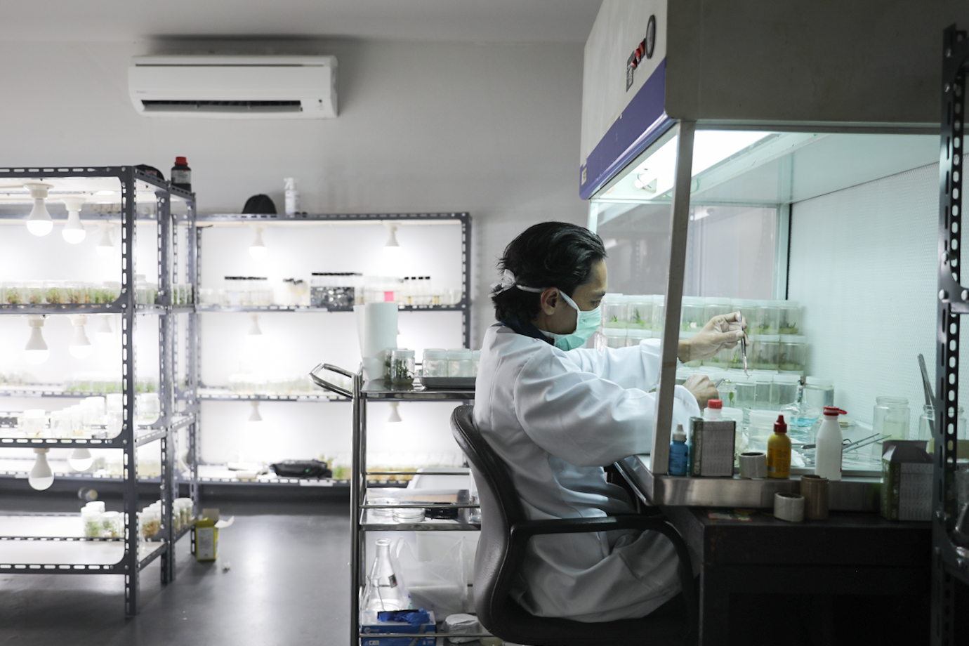 lab kultur jaringan-6.jpg