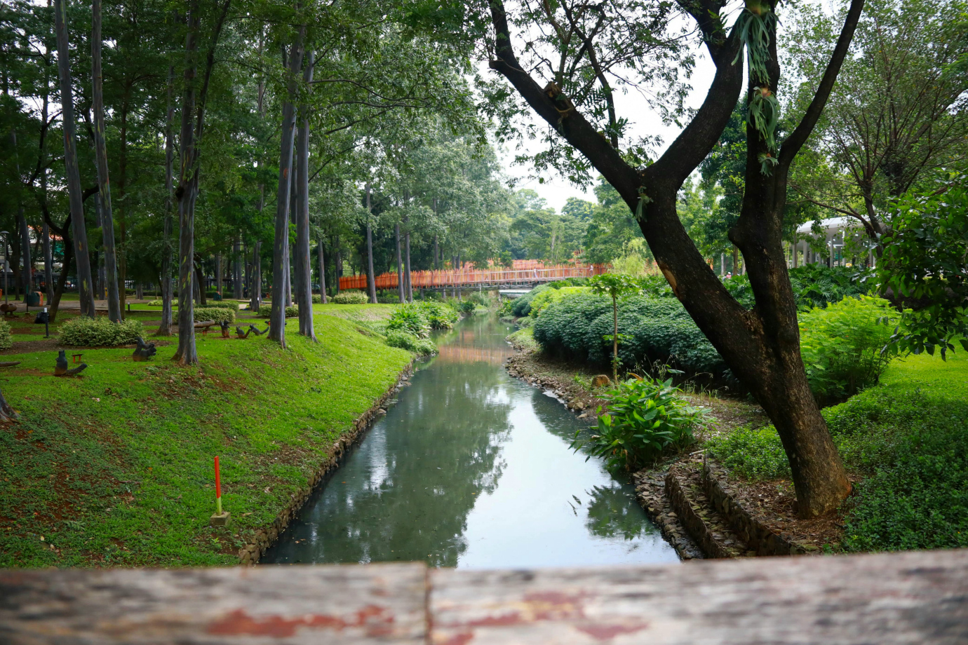 2-gubtaman.jpg