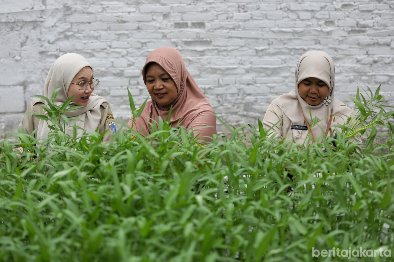 4.Kelurahan Cipulir Ubah Lahan Tak Terpakai Jadi Rumah Gizi.jpg