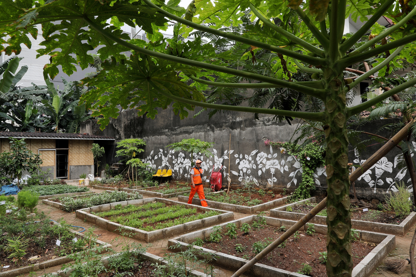 7.Kelurahan Grogol Selatan Ubah Lahan Tidur Jadi Urban Farming.jpg