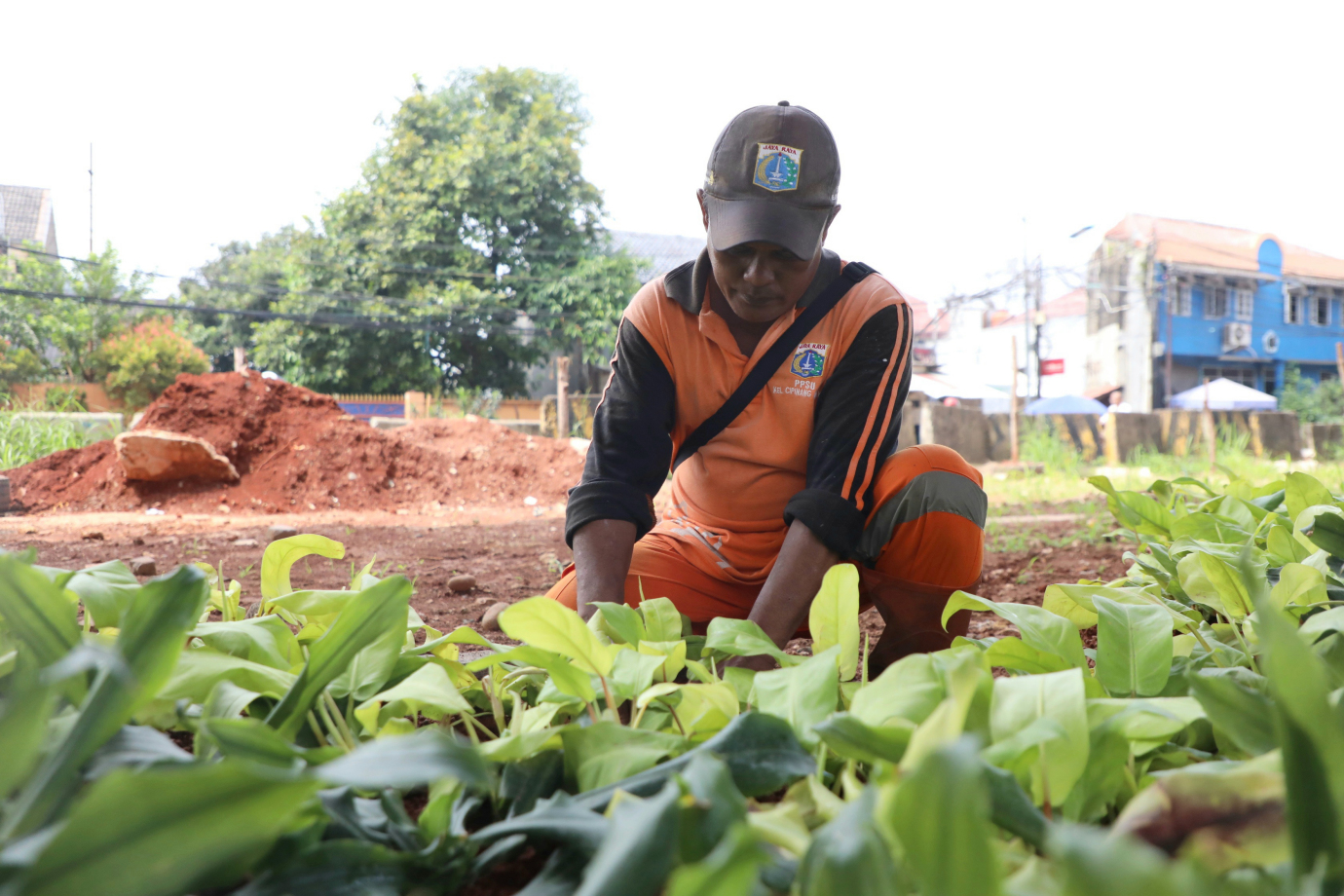 3 awasan Unggulan pertama kelurahan Cipinang Melayu_3.jpg