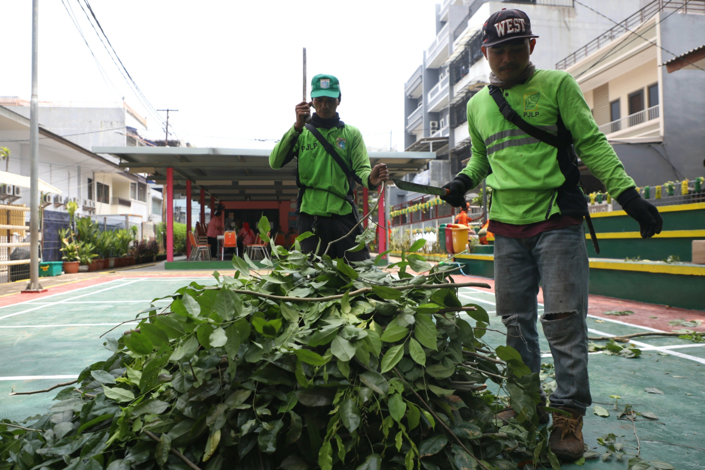 4 Penopingan Pogon rptra jaya molek 4.jpg