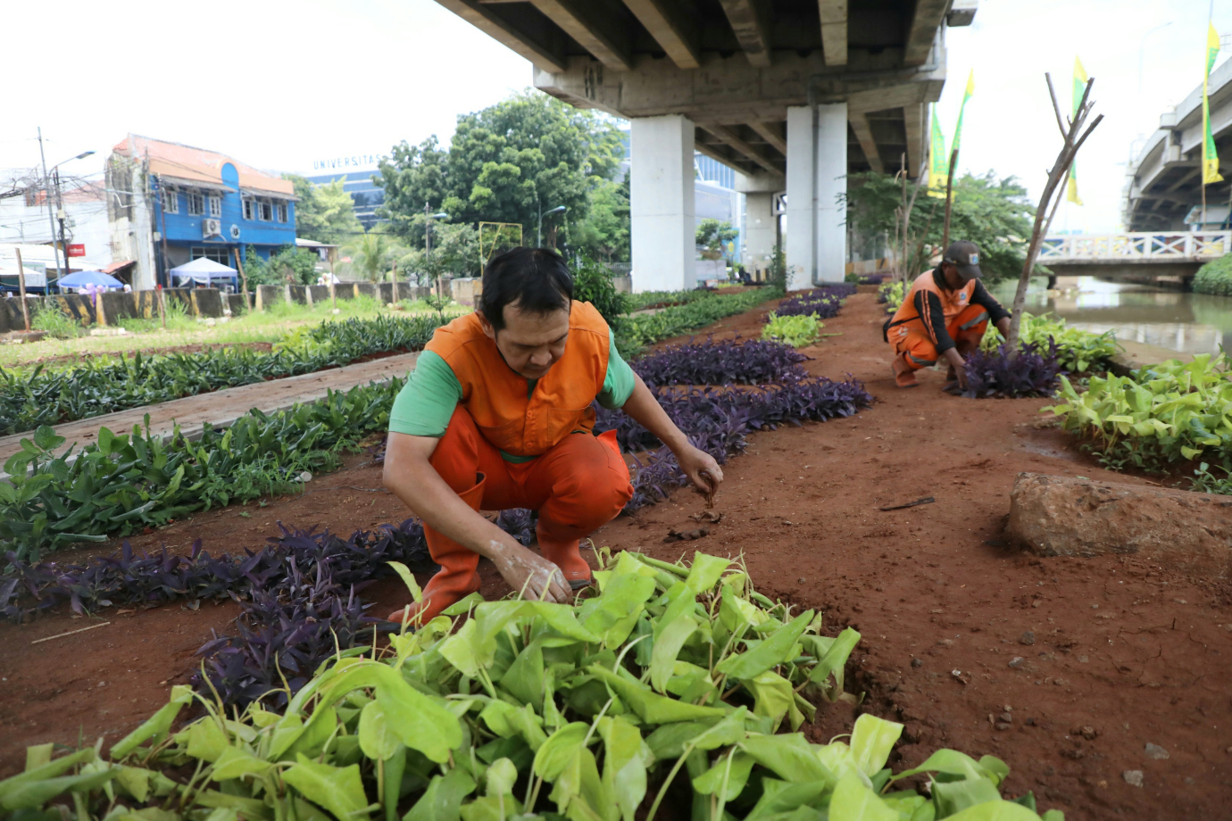 1 awasan Unggulan pertama kelurahan Cipinang Melayu_1.jpg