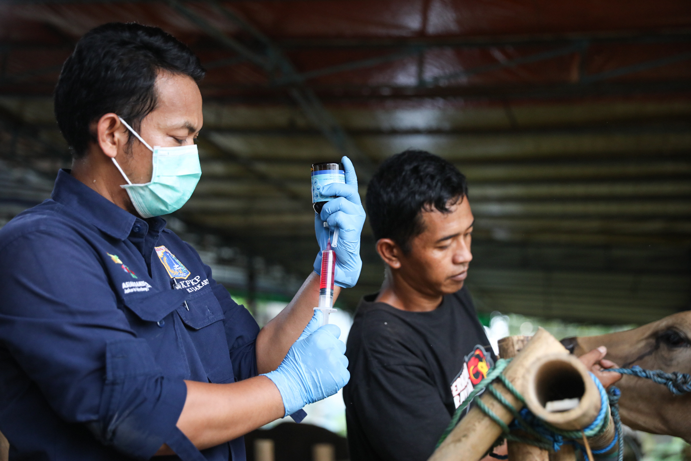Cek Hewan Kurban-5.jpg