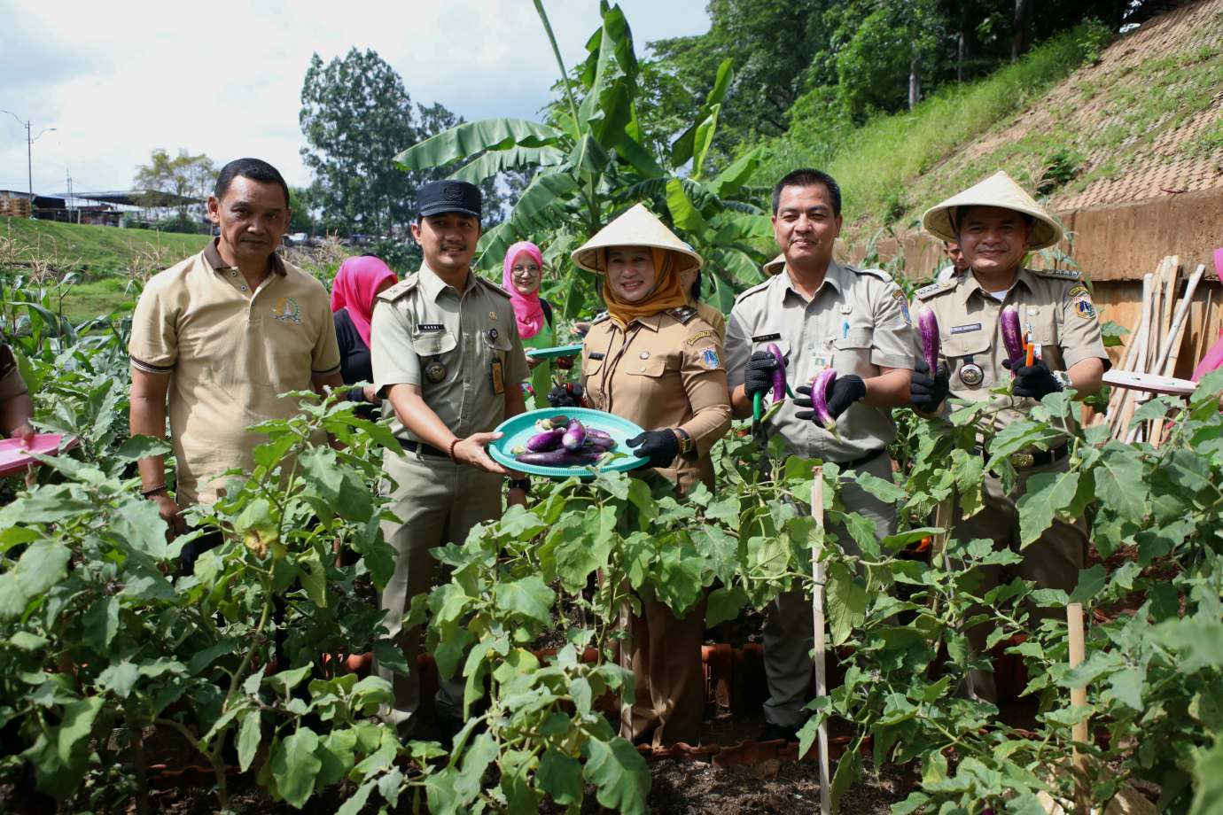 5 PLT Walikota Jaktim panen sayuran_5.jpg