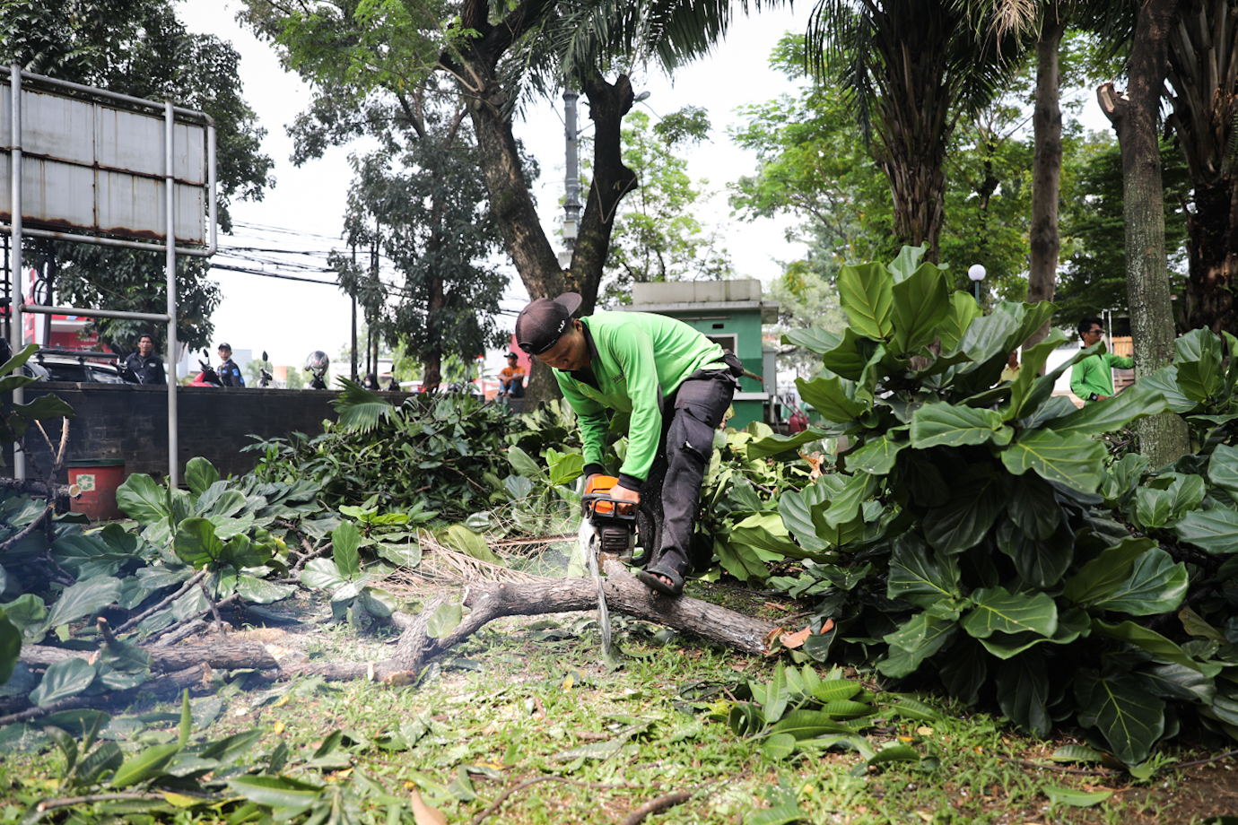 Toping Taman Mahoni-4.jpg