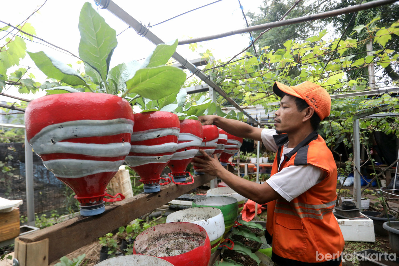 6 PPSU Kelurahan Pondok Kopi Ubah Galon Bekas Jadi Pot Tanaman_6.jpg