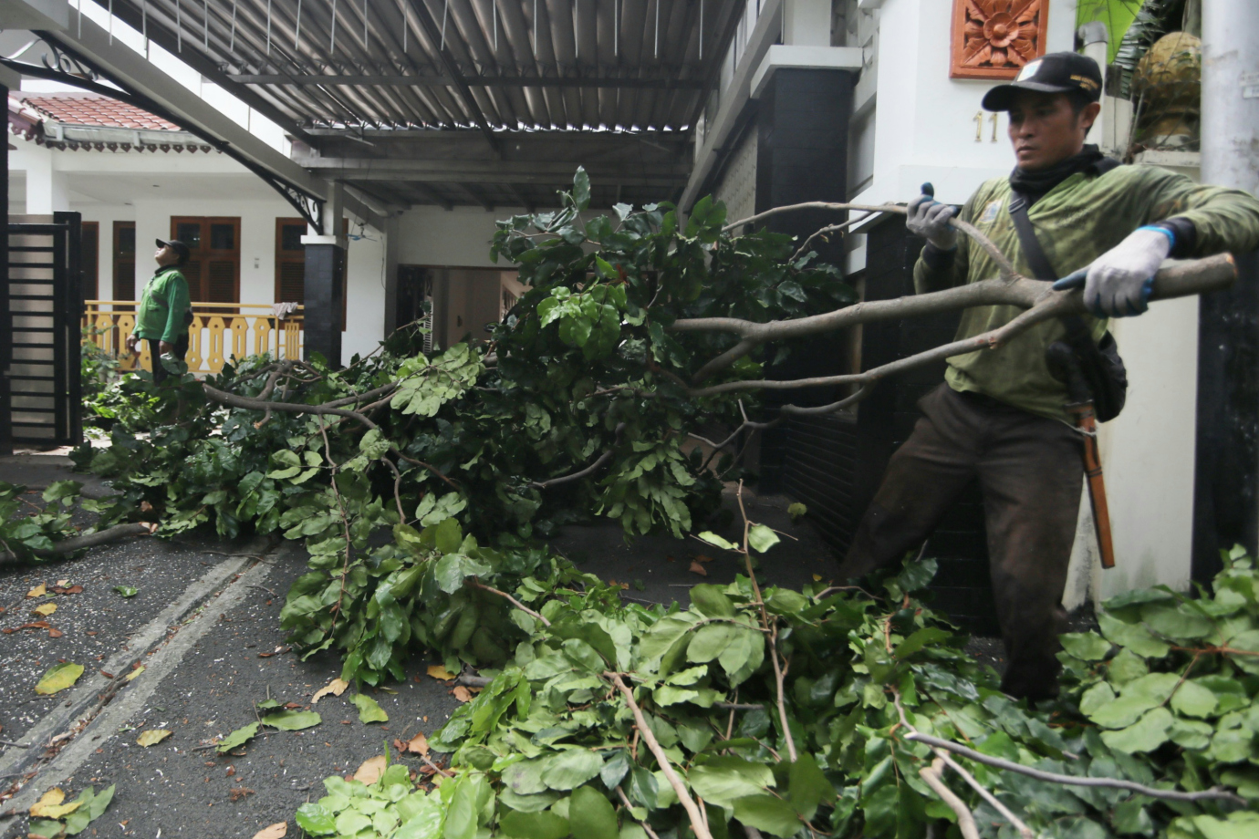 4 Penopingan Pohon di Rumah Dinas Walikota Jakarta Timur_4.jpg