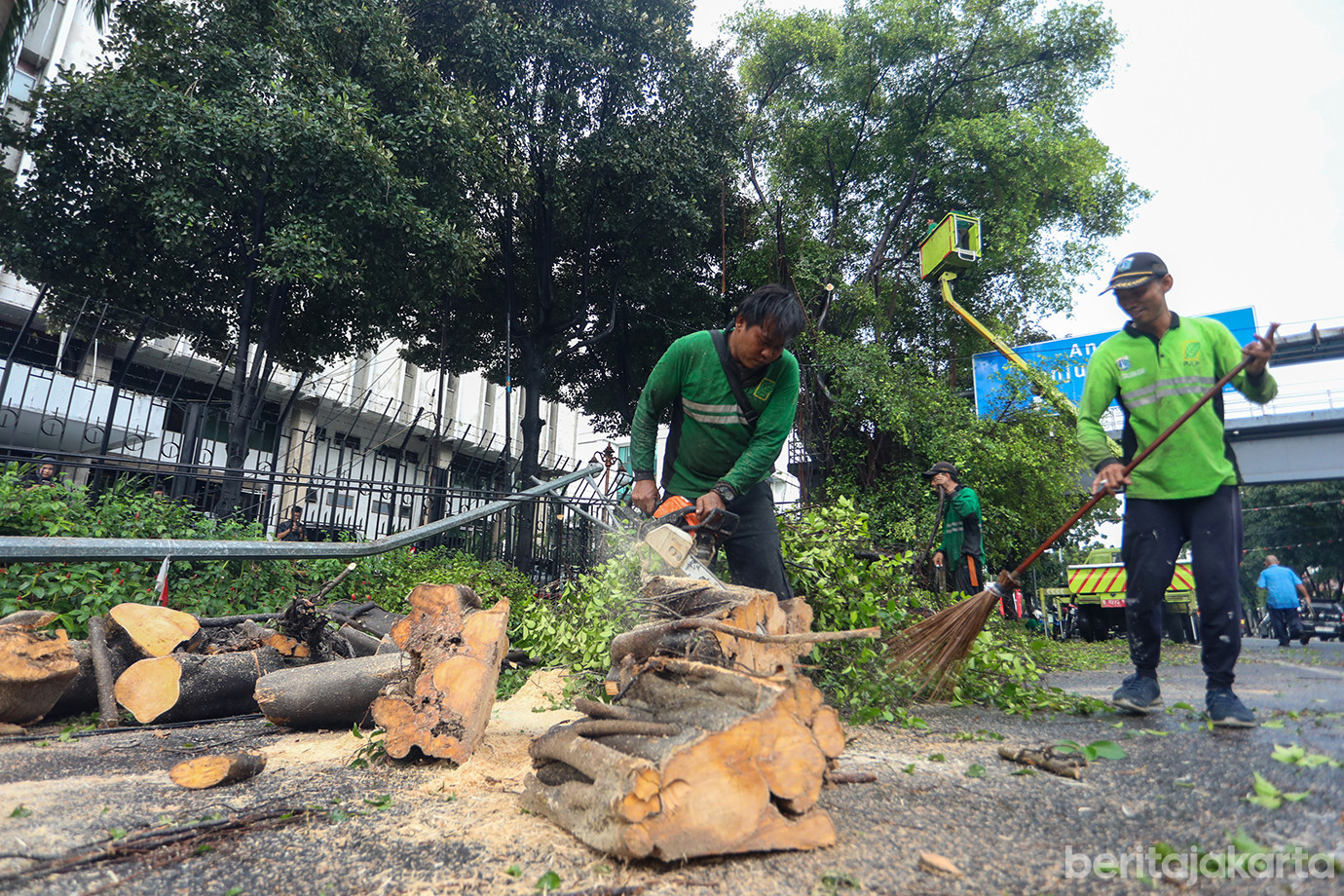 evakuasi-pohon-wahidin-raya-03.jpg