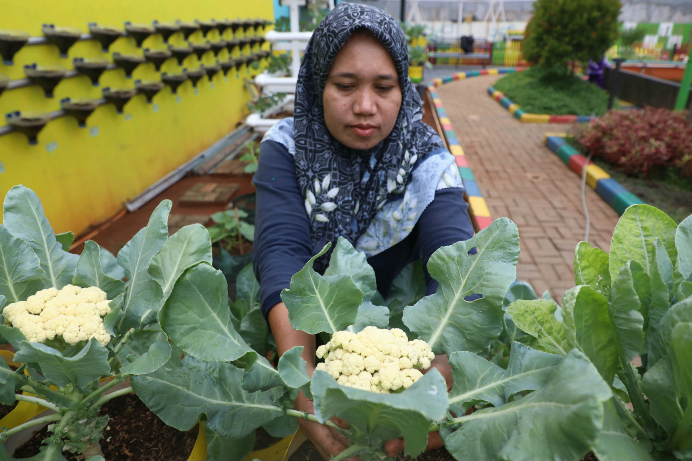 4 Urban Farming Rptra anunganrampai 4.jpg
