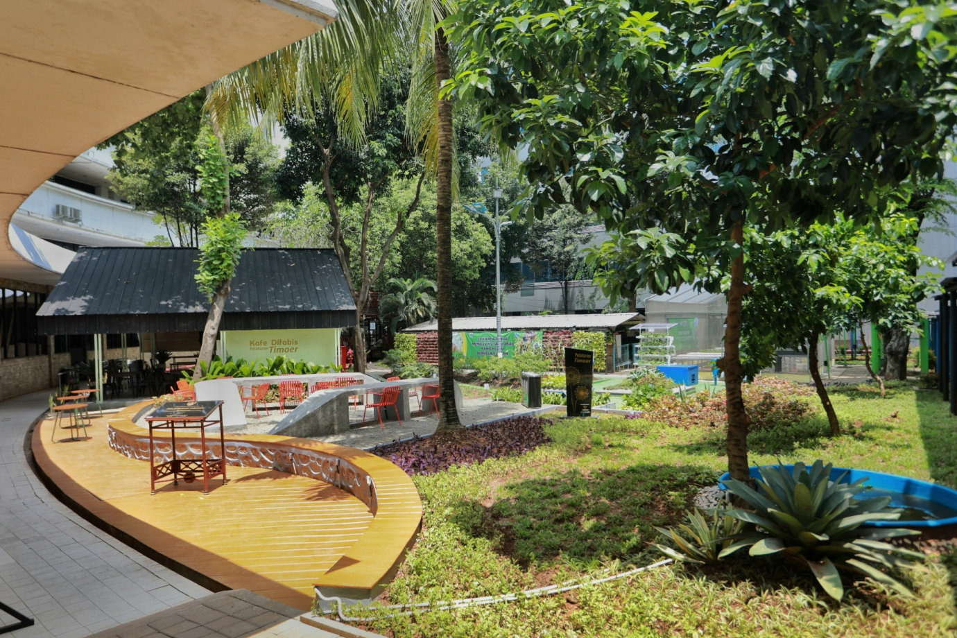 1-pj pandang timoer.jpg