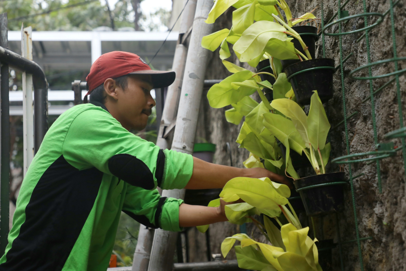 5 Penataan Kawasan Unggulan kelurahan Kartini_5.jpg