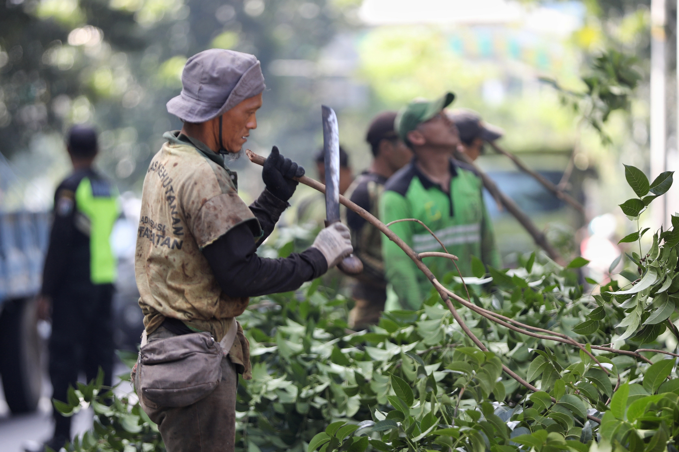 6.Sudin Tamhut Jakarta Selatan Toping 80 Pohon di Jagakarsa.jpg