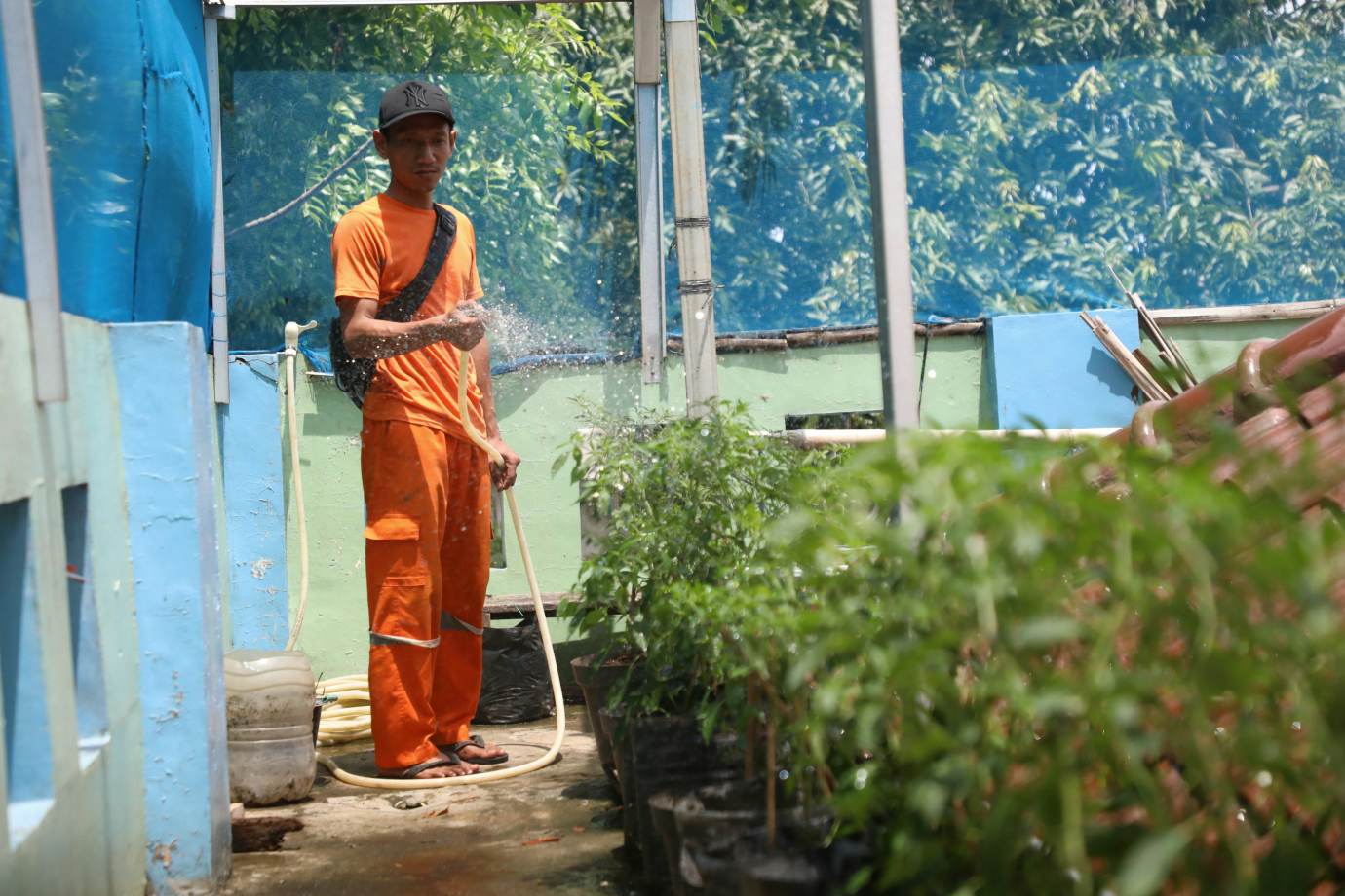 5 Urban Farming Kantor Kelurahan Kebon Manggis_5.jpg