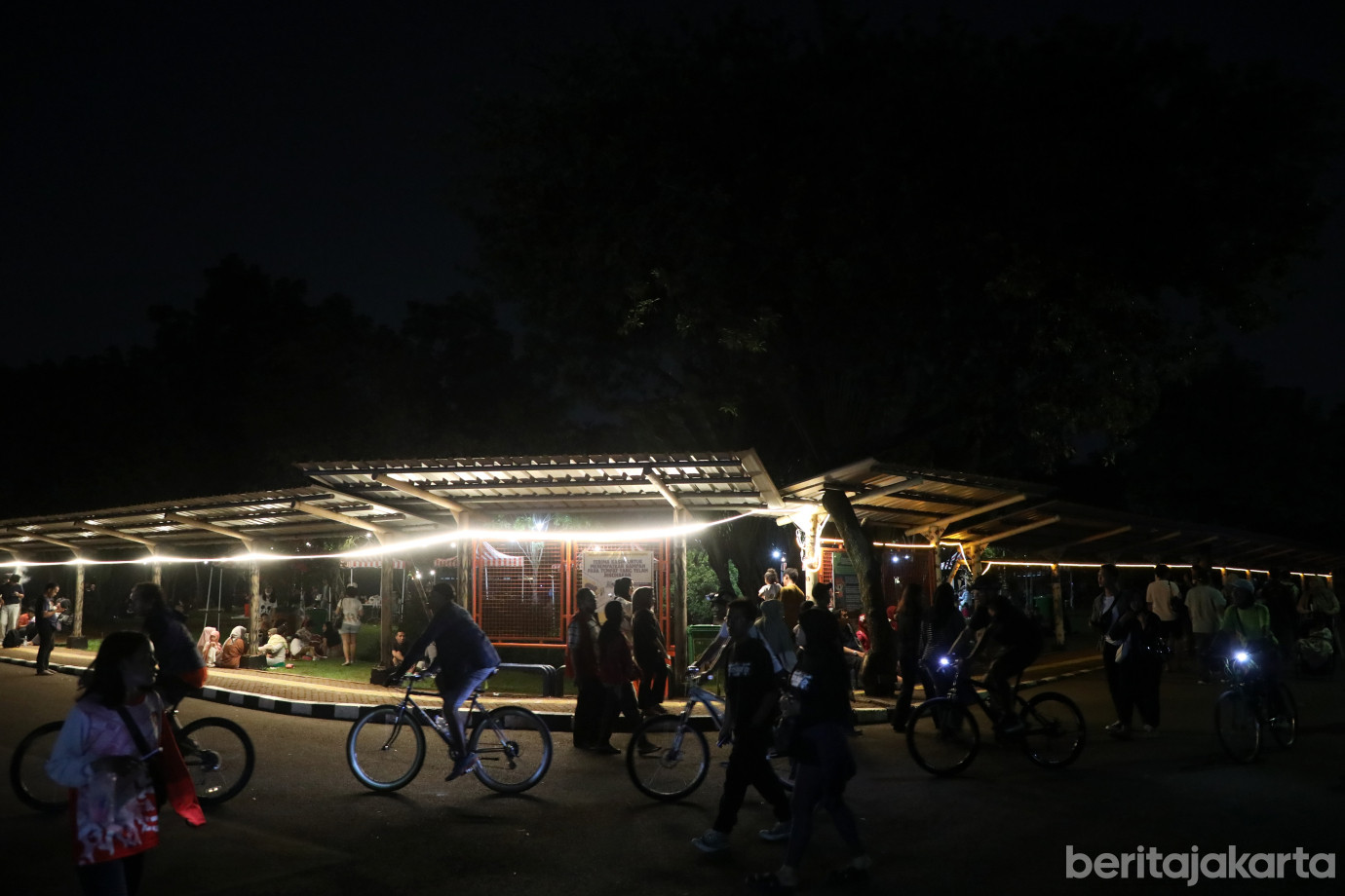 8.Night at The Ragunan Zoo.jpg