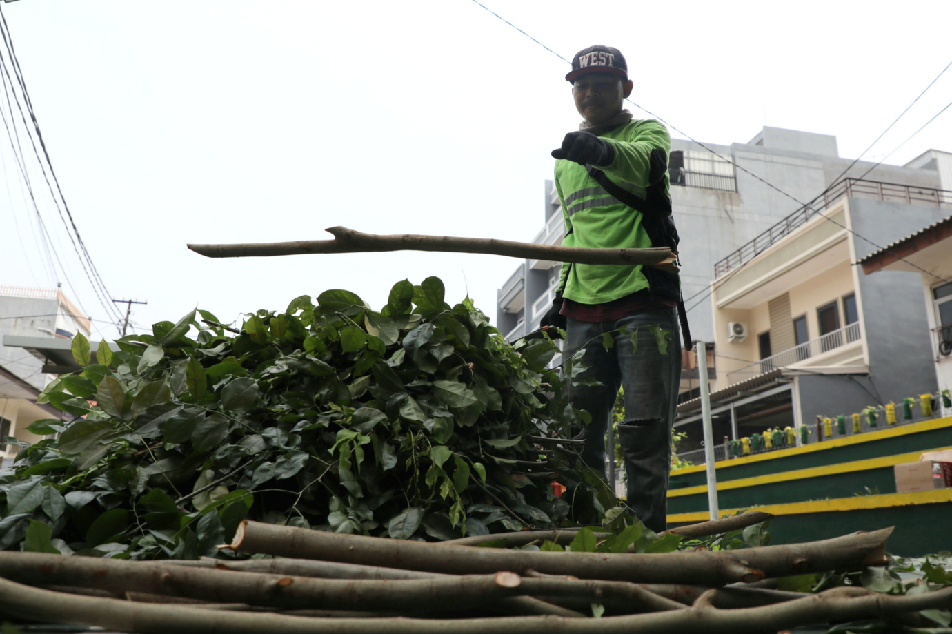 5 Penopingan pohon rptra jaya molek 5.jpg