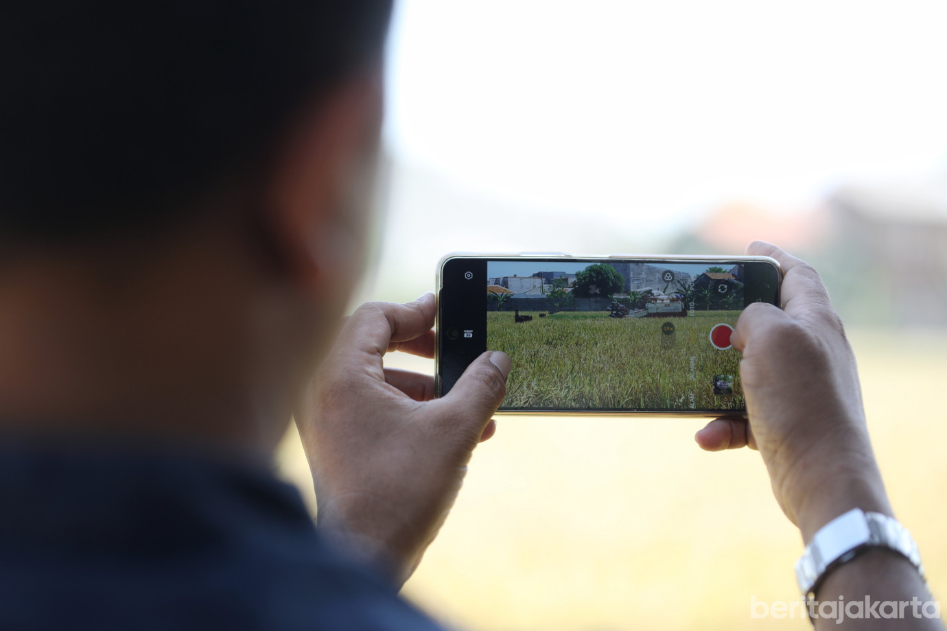 5.9,2 Ton Padi Berhasil Dipanen di Kebon Bibit Ujung Menteng.jpg