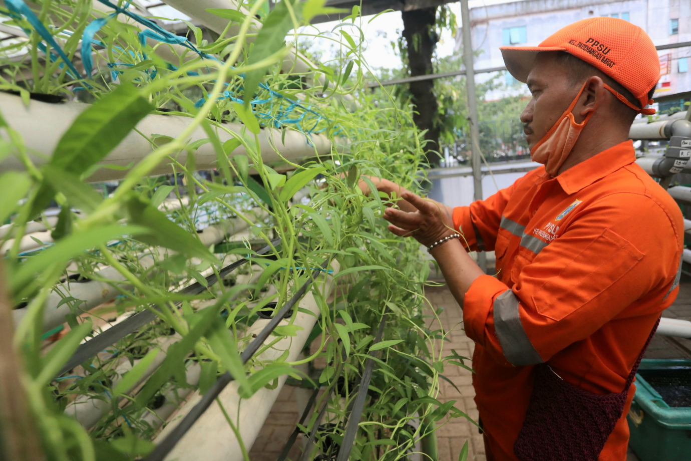 4 Green House Kelurahan Pademangan Barat_4.jpg
