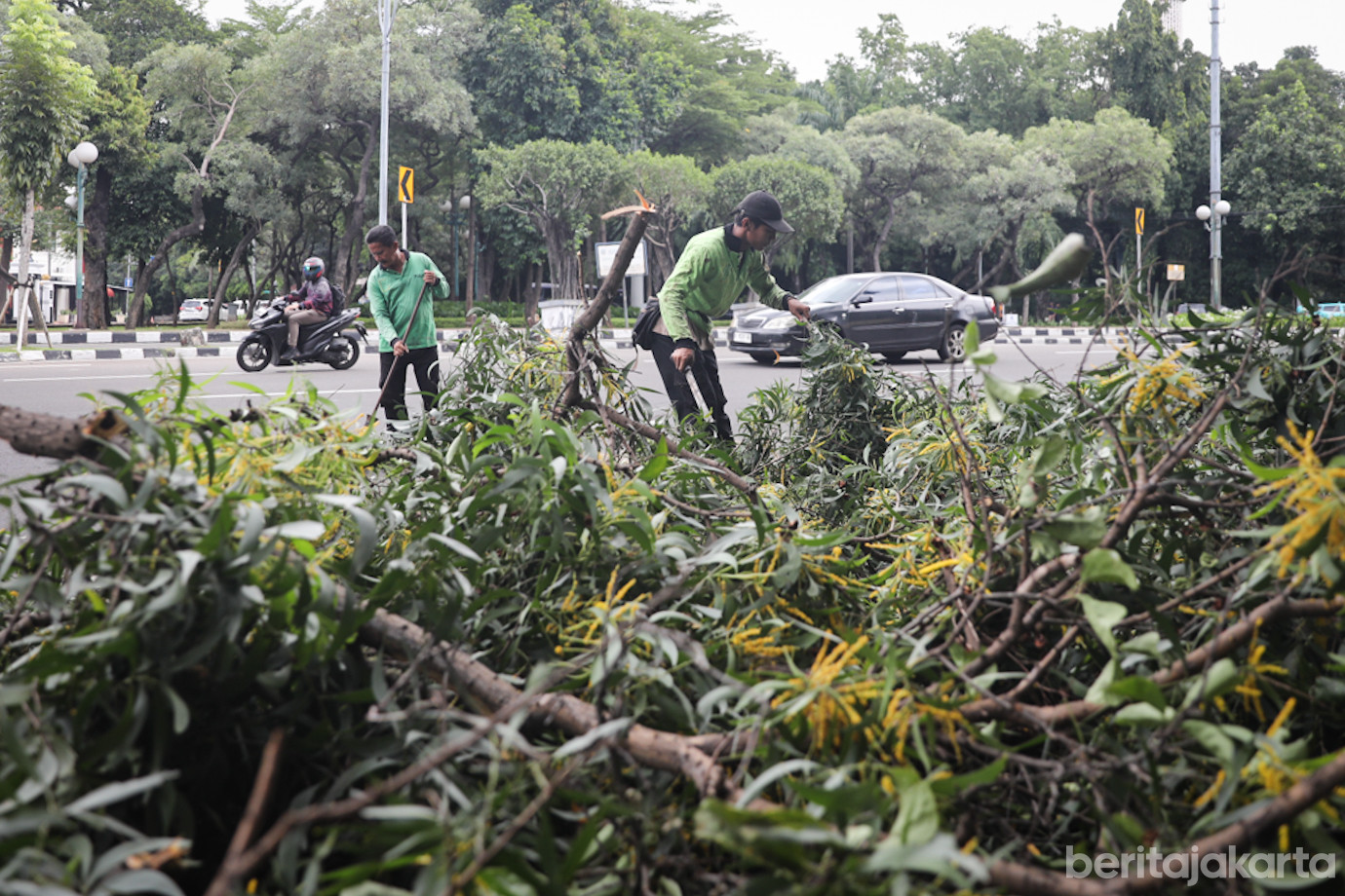 Penopingan Monas-4.jpg