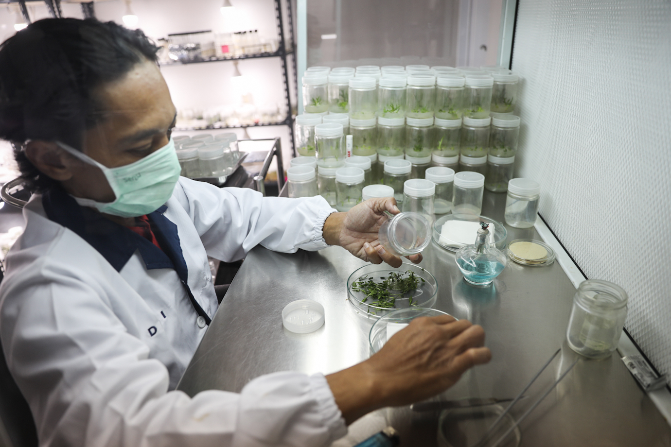 lab kultur jaringan-7.jpg