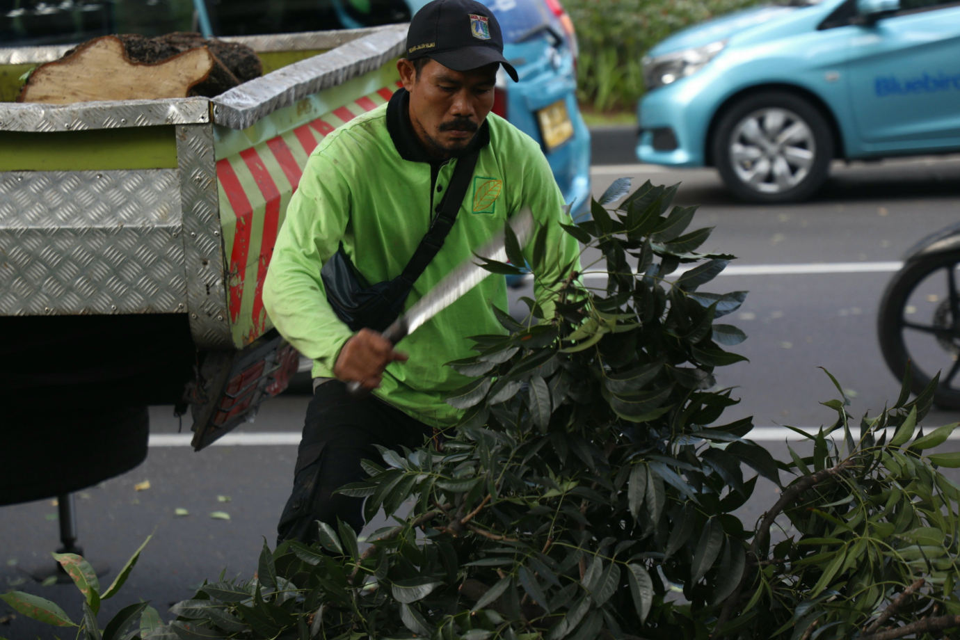 3 Penopingan pohon di jalan kebon sirih 3.jpg