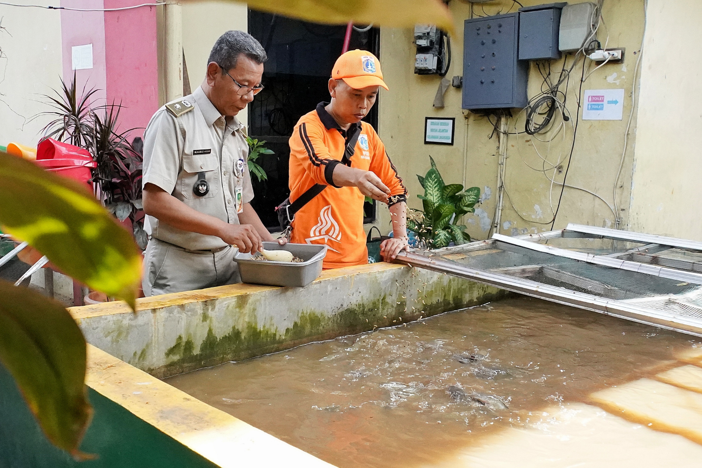 6.Kelurahan Jagakarsa Beri Contoh Positif Lewat Budi Daya Maggot.jpg