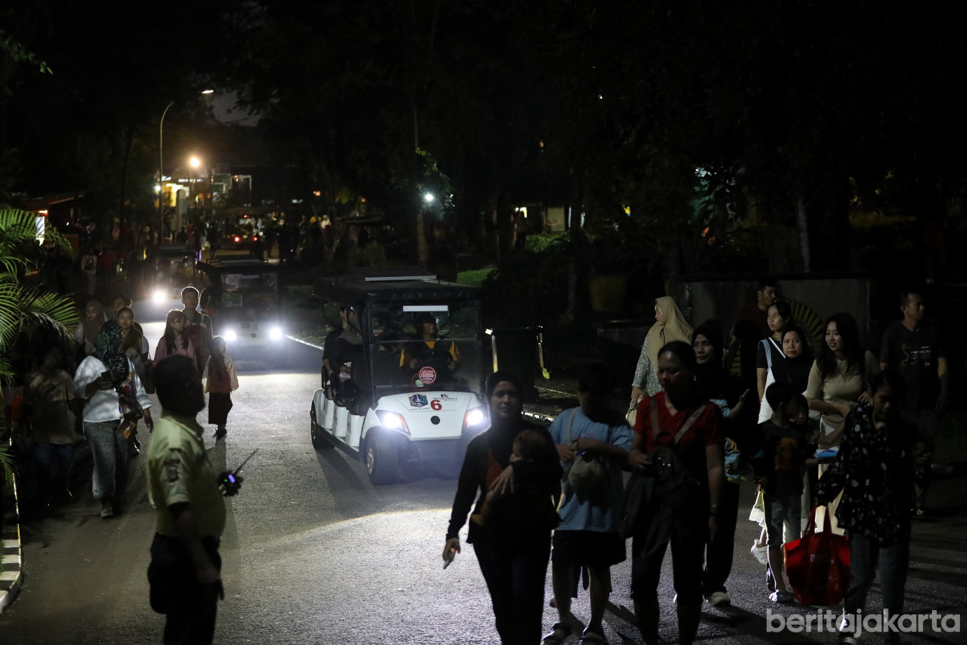 2.Night at The Ragunan Zoo.jpg