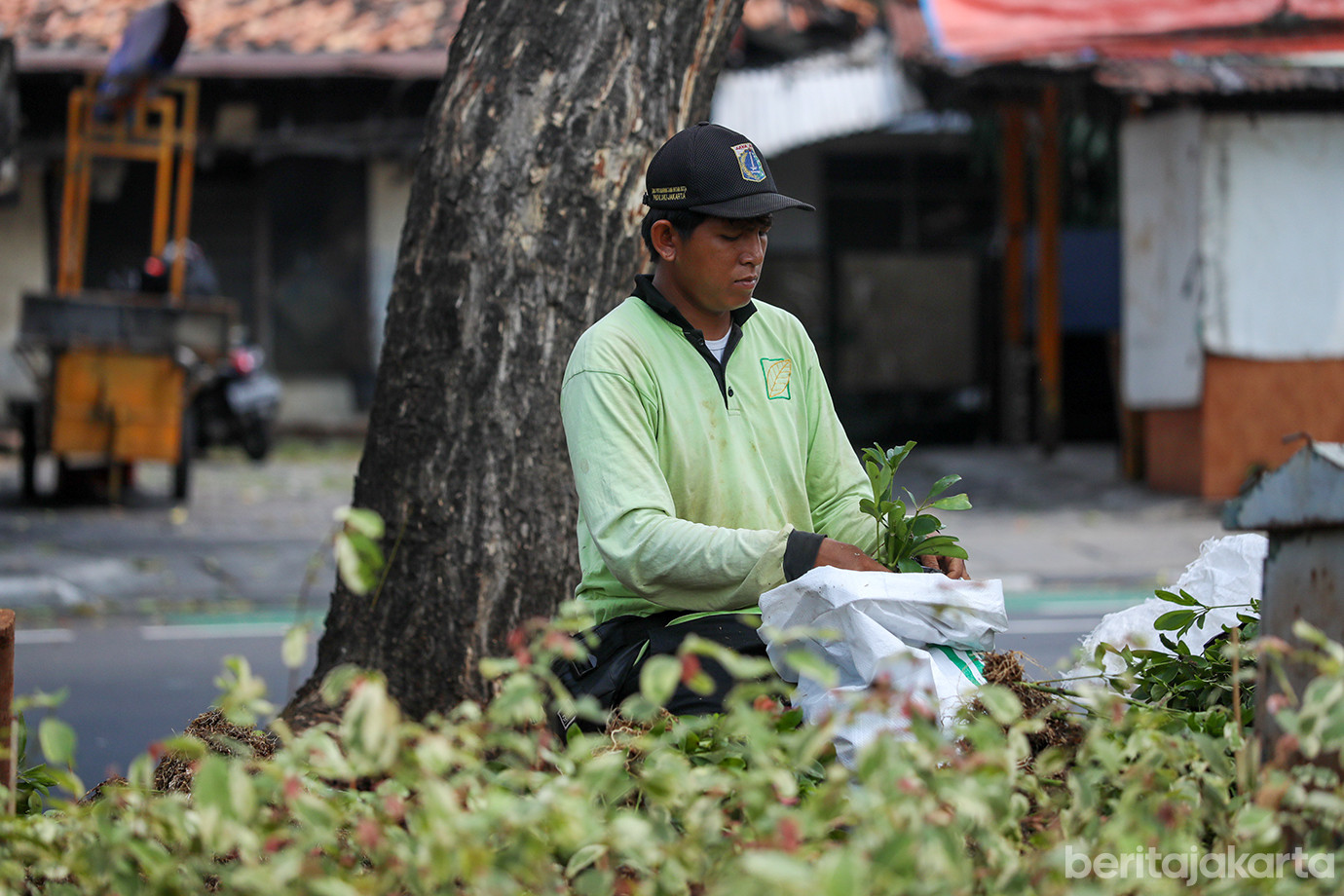 jalur-hijau-kramat-kwitang-04.jpg