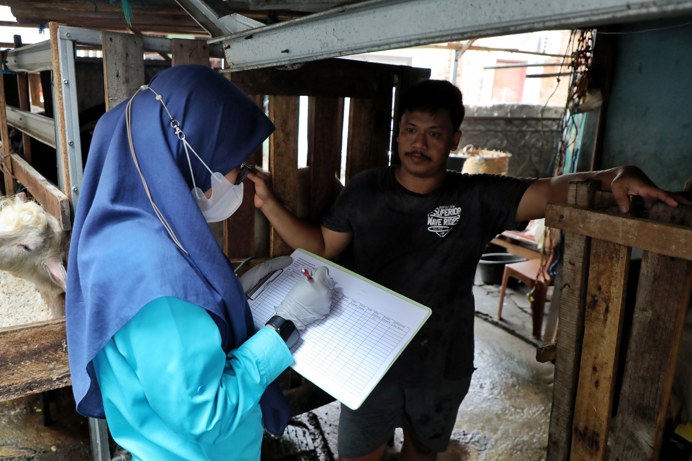 9.Satpel KPKP Kramat Jati Periksa Hewan Kurban di Batu Ampar.jpg