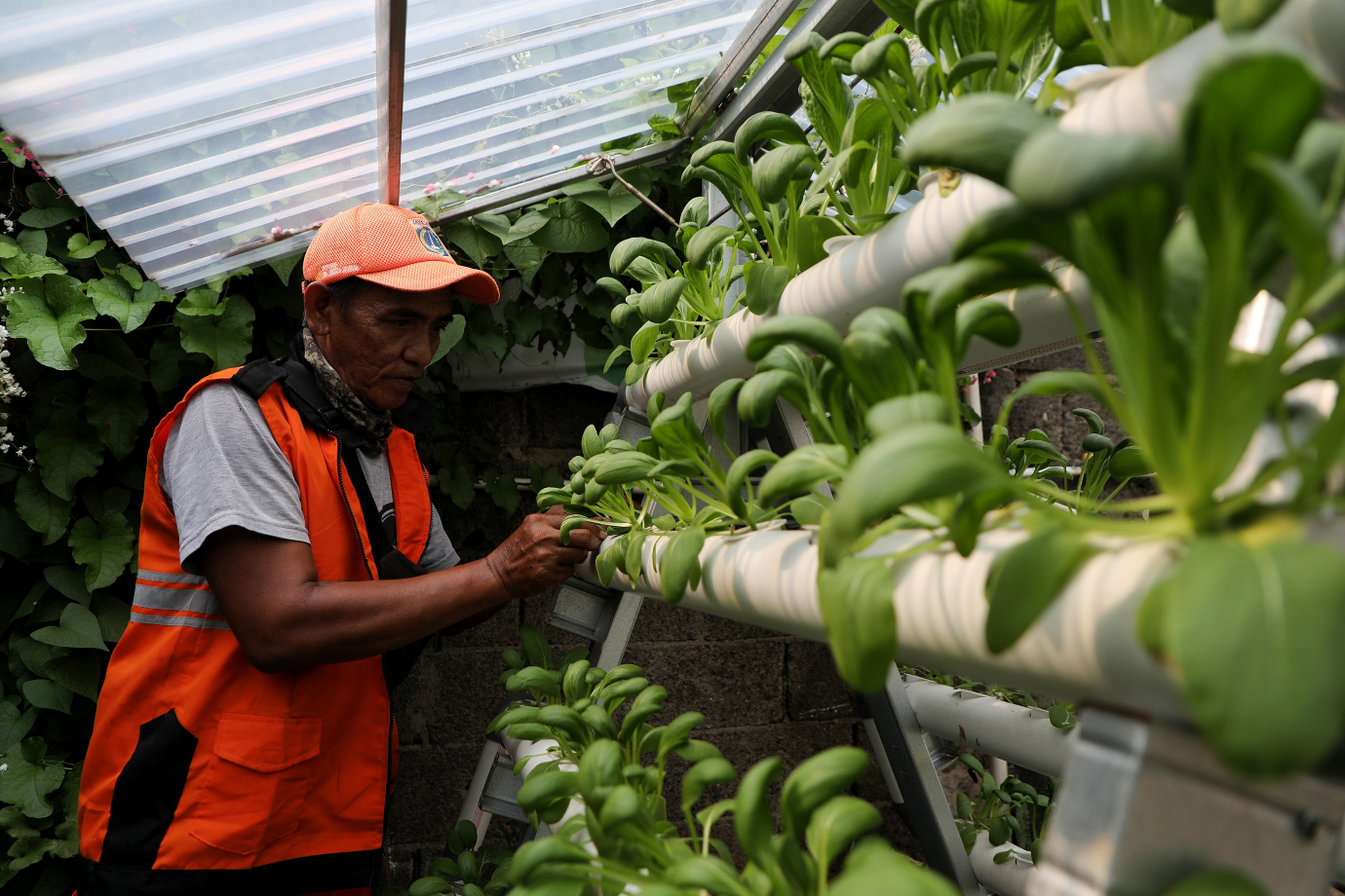 4.Kelurahan Grogol Selatan Ubah Lahan Tidur Jadi Urban Farming.jpg