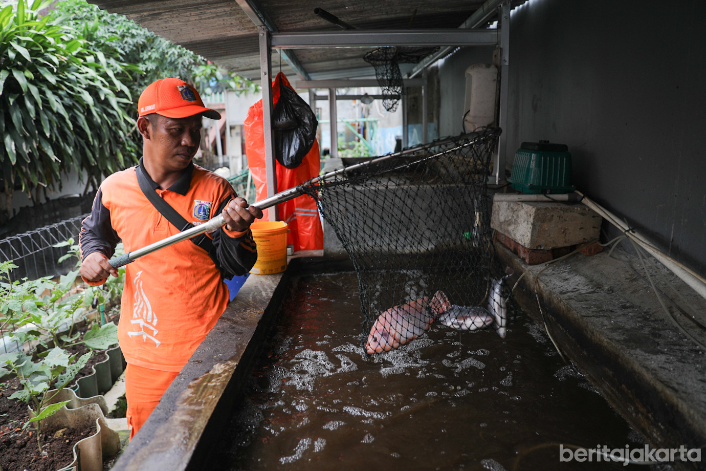 Krukut Mini Farm-2.jpg