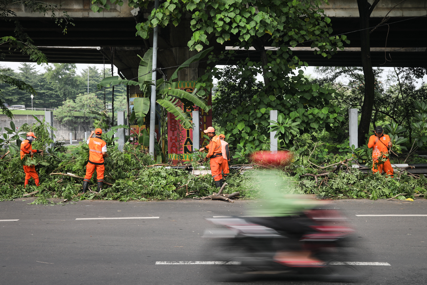 Ppsu pohon tumbang-4.jpg
