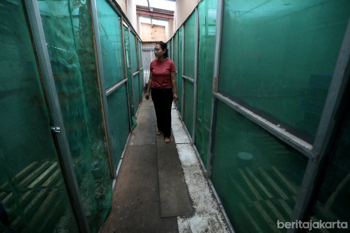 1 Warga Tugu Selatan Olah 50 Ton Sampah per Hari dengan Maggot_1.jpg