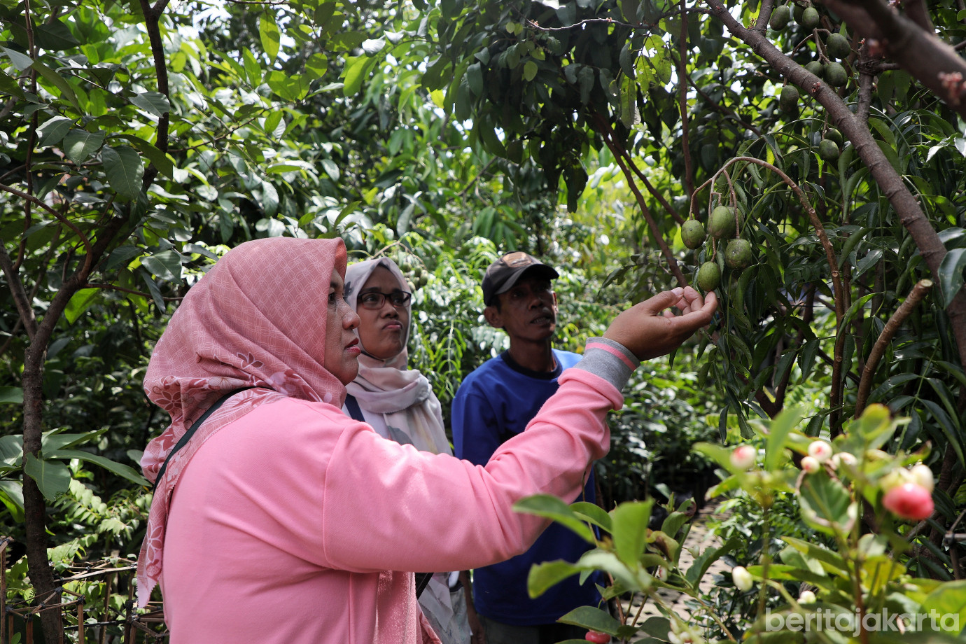 6.Festival Hortikultura.jpg