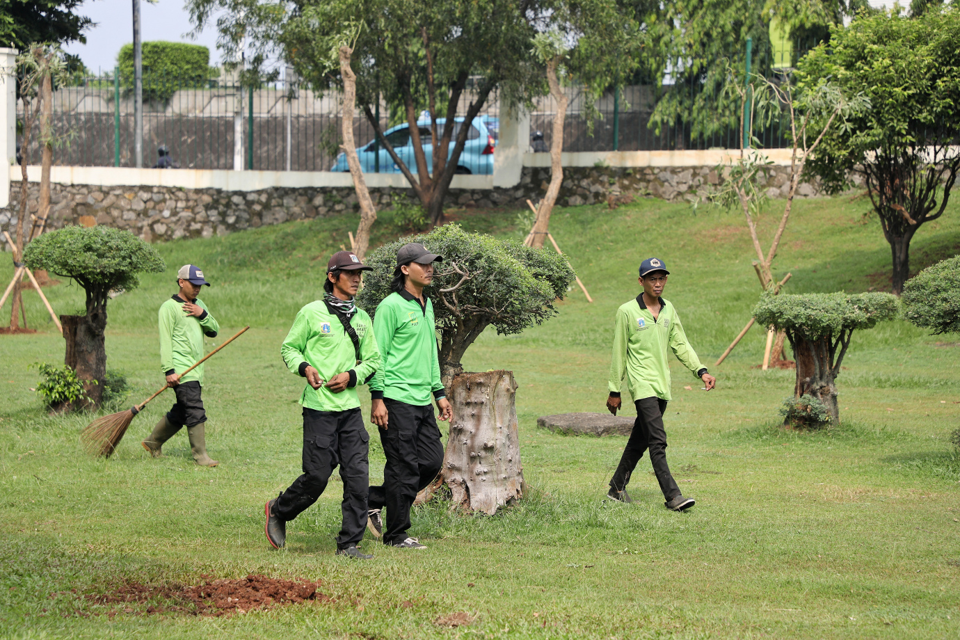 6.10 Pohon Tabebuya Kuning Ditanam di Taman Viaduk Jatinegara.jpg