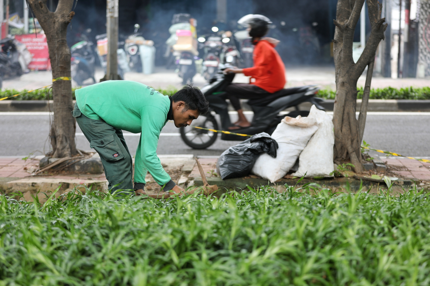 2.Distamhut Lakukan Peremajaan Tanaman Hias di Jalan Kolonel Sugiono (1).jpg