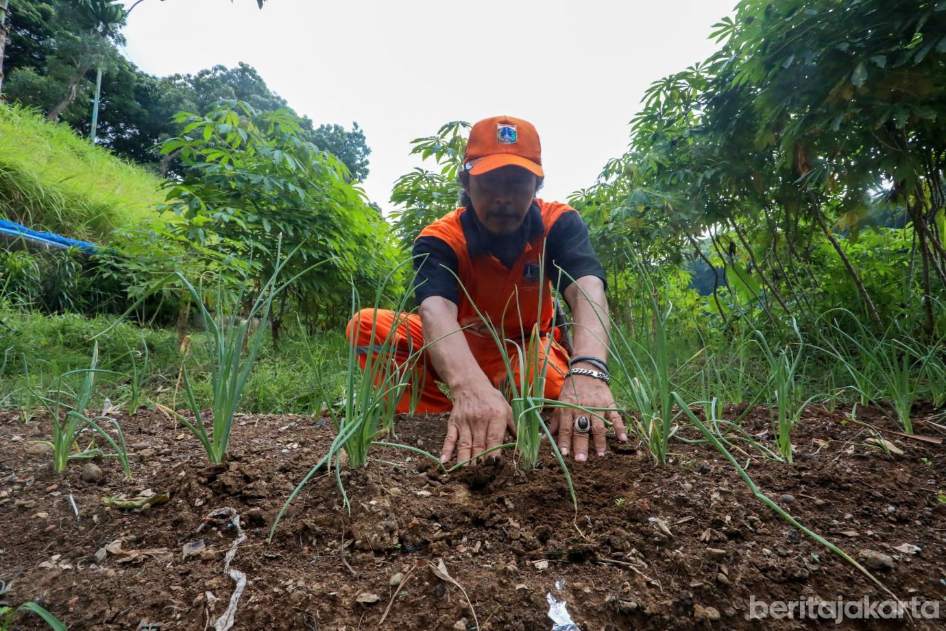 3 PPSU Malaka Jaya Olah Lahan KBT Jadi Kebun Urban Farming_3.jpg