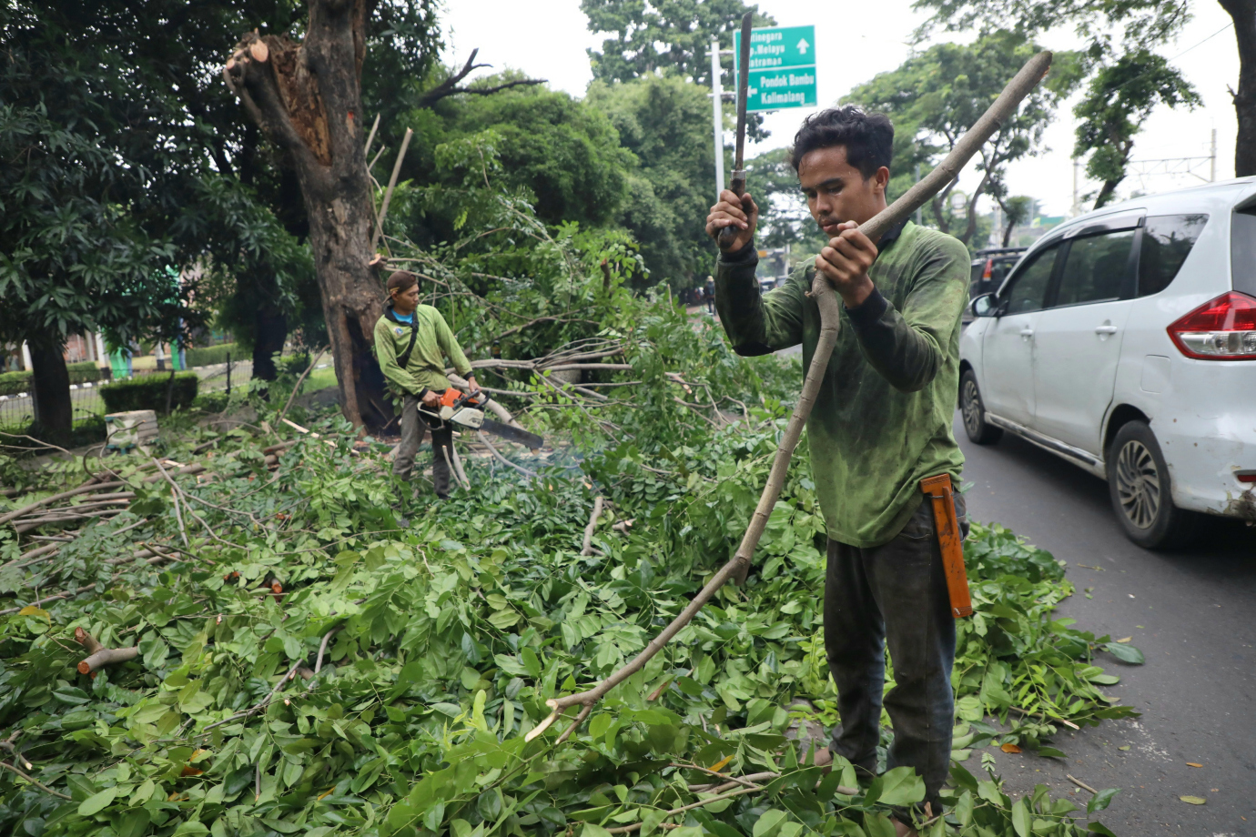 3 Penopingan Pohon di Jalan I Gusti Ngurah Rai_3.jpg