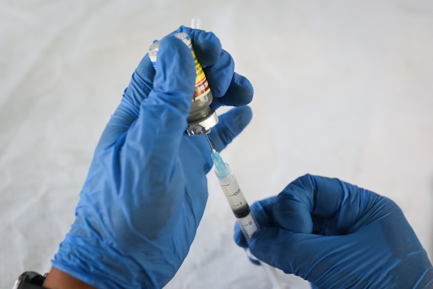 Rabies Manggarai Selatan-5.jpg
