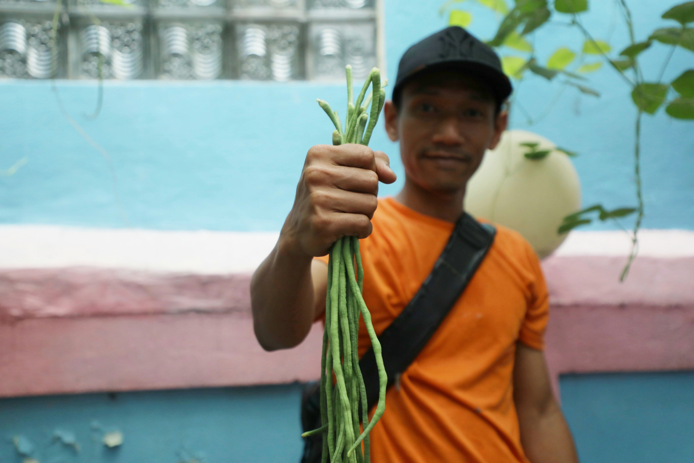 7 Urban Farming Kantor Kelurahan Kebon Manggis _7.jpg