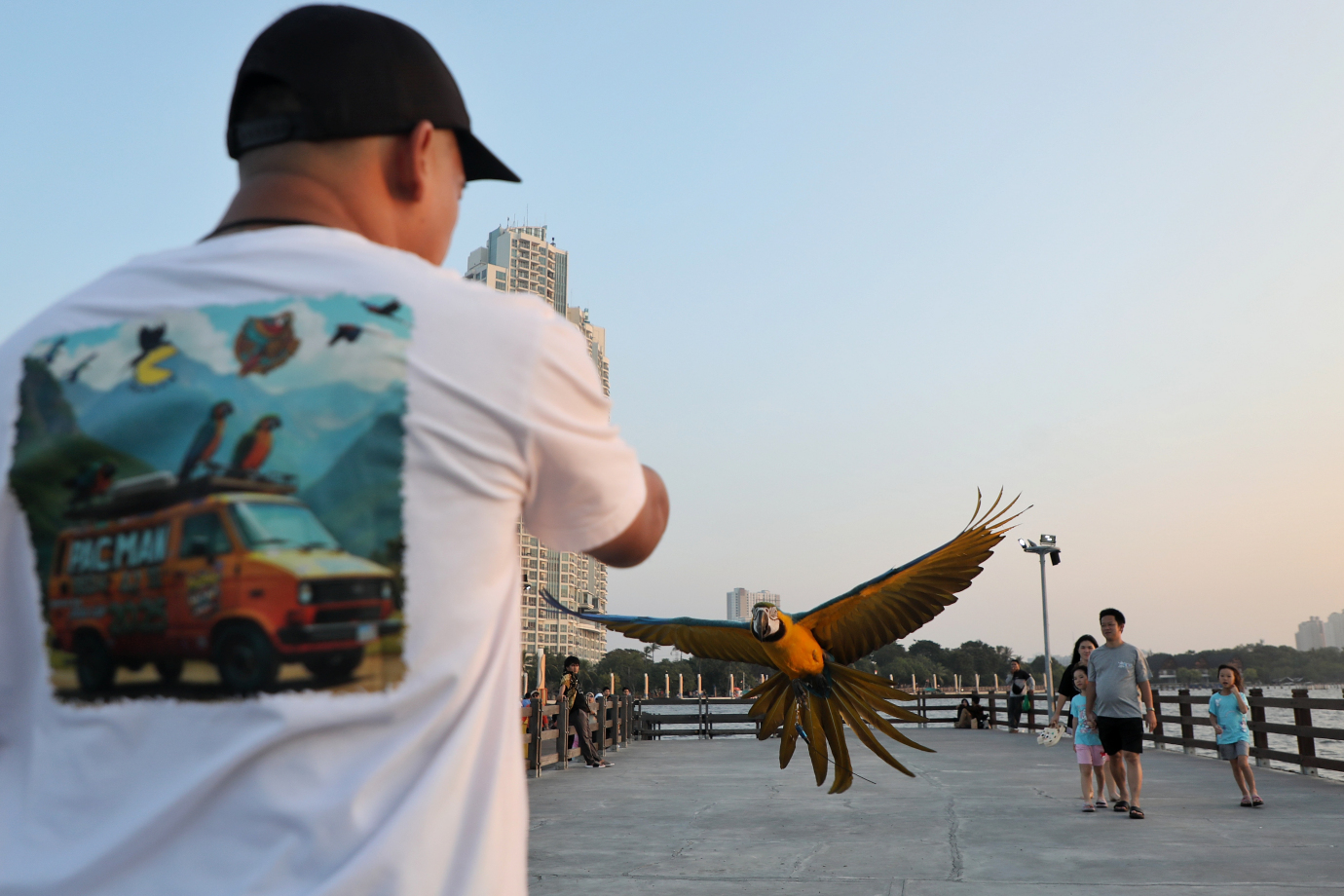 5.komunitas Burung Beo Pacman melakukan free fly burung Macaw.jpg